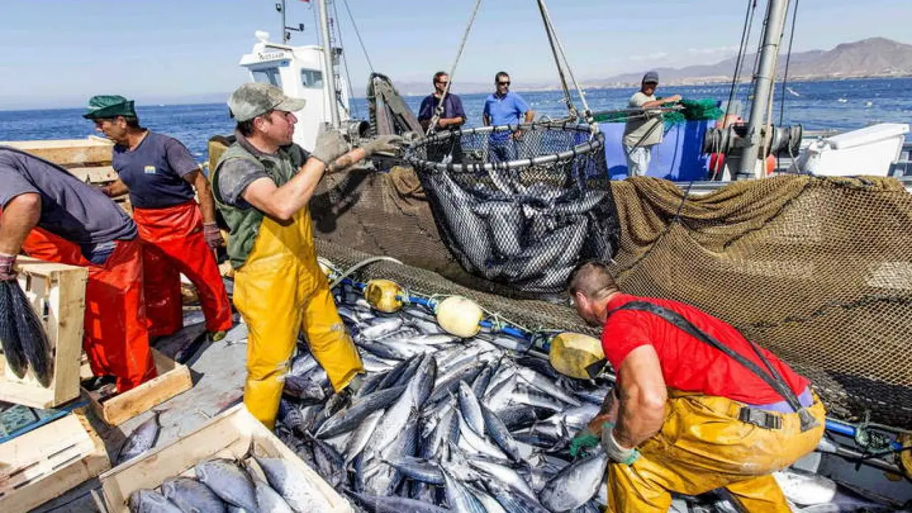 Pesca. / Mundiario.