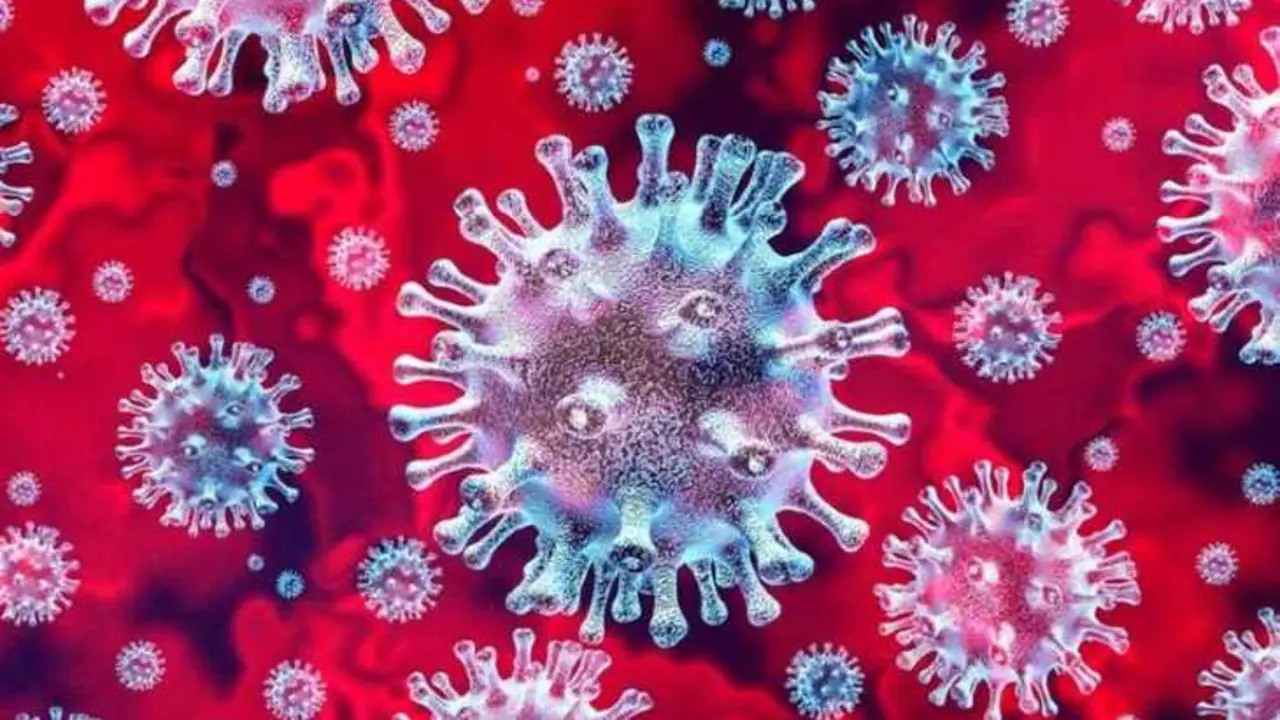 Coronavirus. / Pixabay