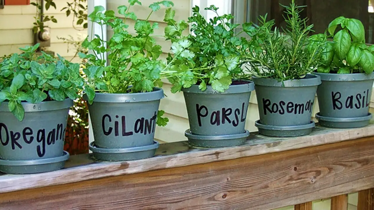 Mini huerto de plantas aromaticas en un balc&oacute;n. / Ecologismos