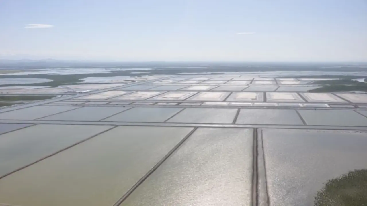 Parte de las Granjas de Nueva Pescanova en Nicaragua.