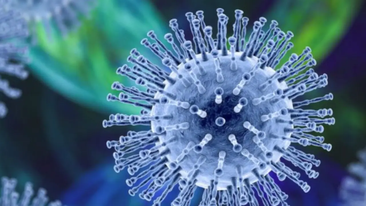 Coronavirus. / RR SS.