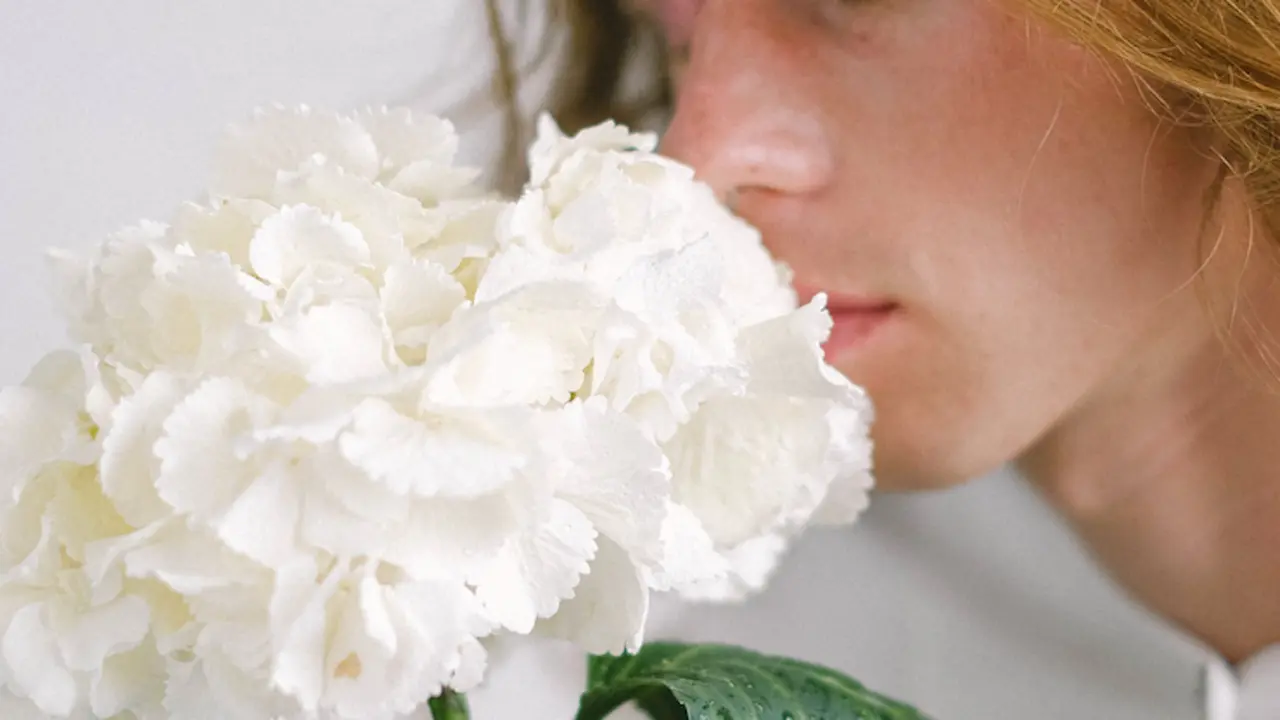 Mujer oliendo una flor. / Anna Shvets. / Pexels