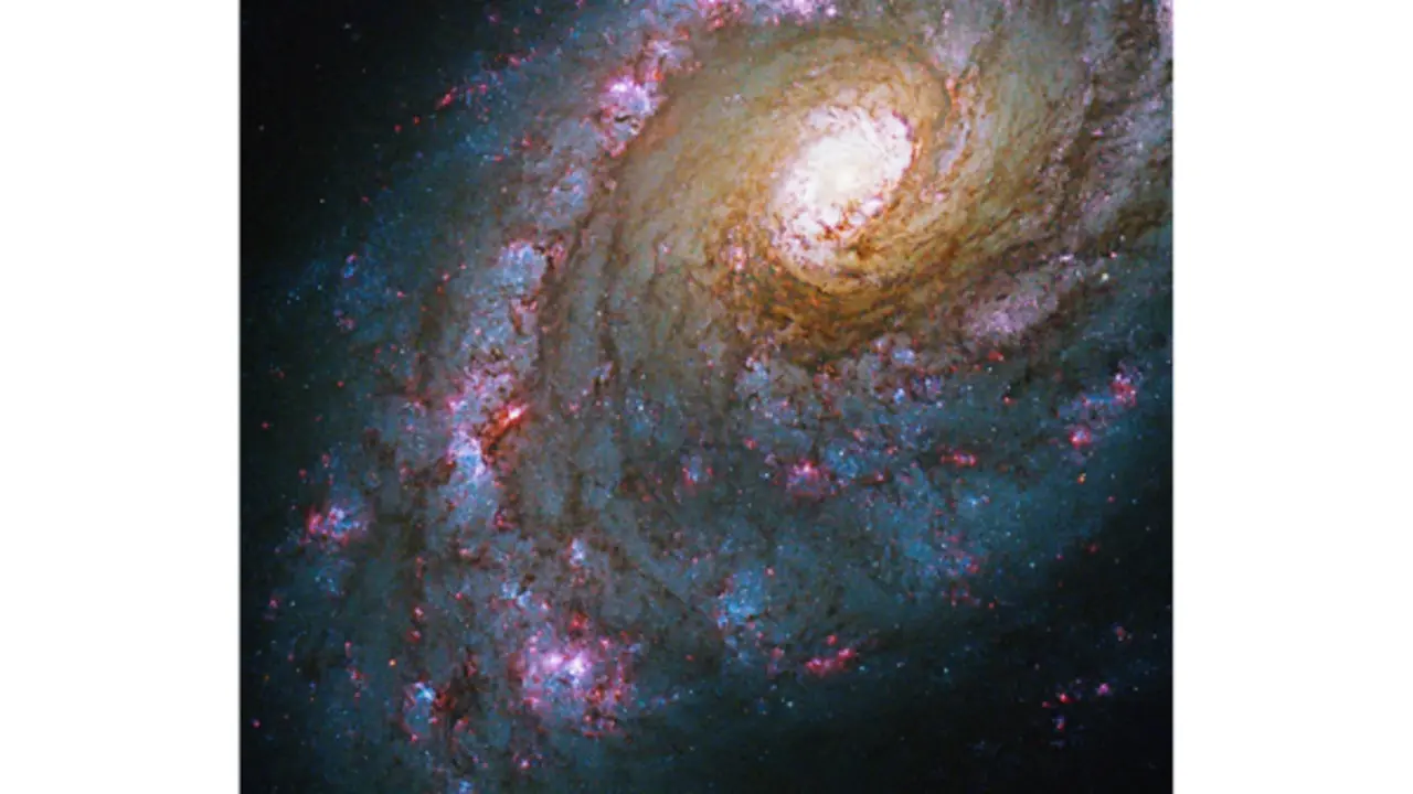 Galaxias, c&uacute;mulos de estrellas brillantes y nebulosas et&eacute;rea. / NASA, ESA, J. Lee (California Institute of Technology), and A. Filippenko (University of California &ndash; Berkeley)