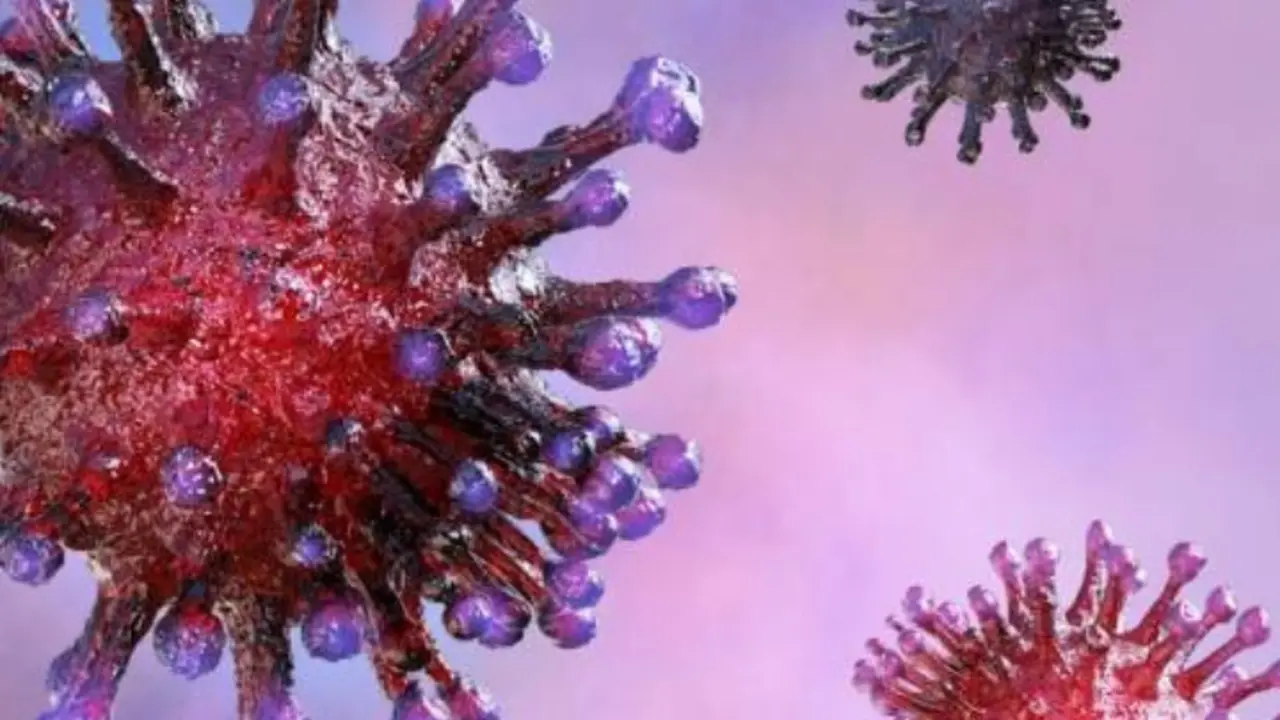 Coronavirus. / RR SS.