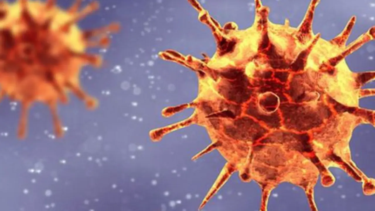 Coronavirus. / RR SS.