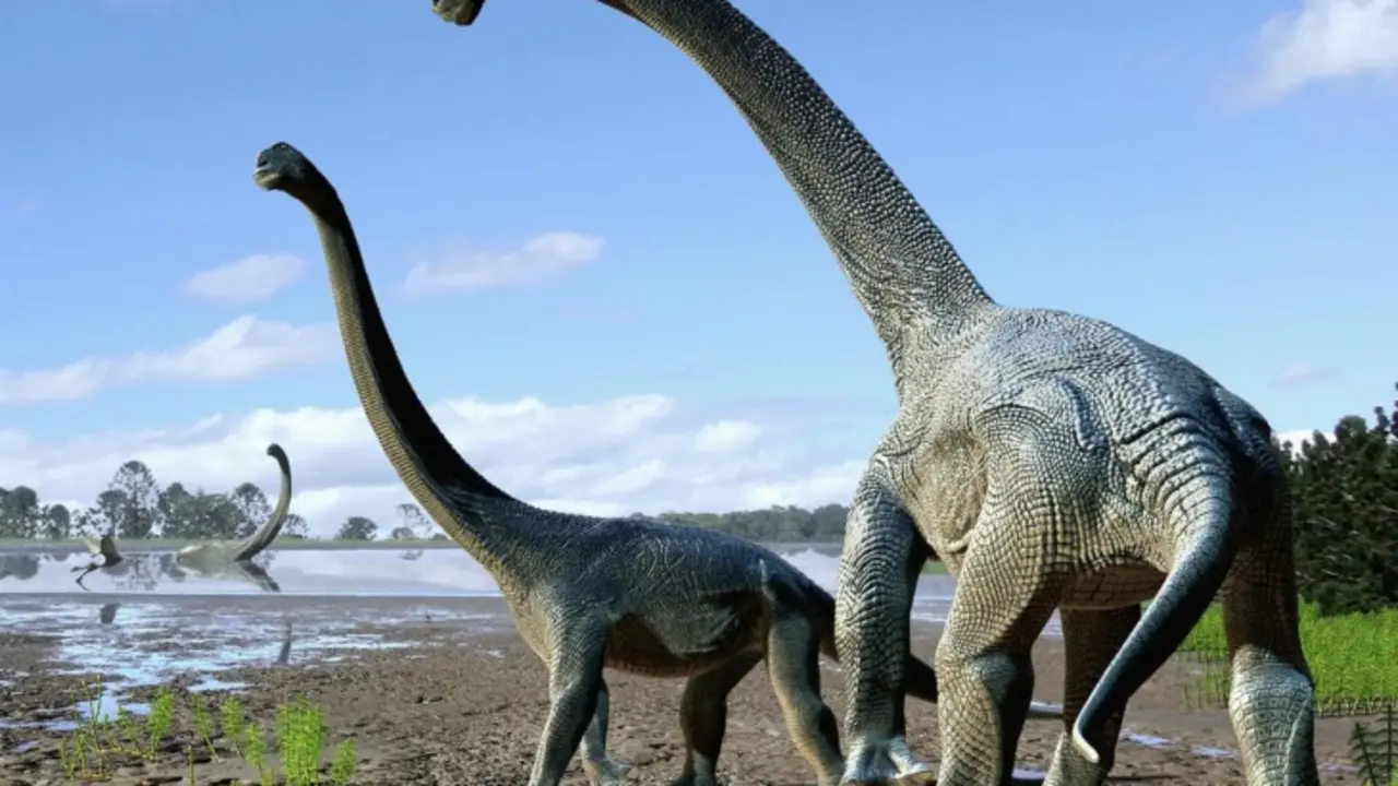 Titanosaurio. RR SS.