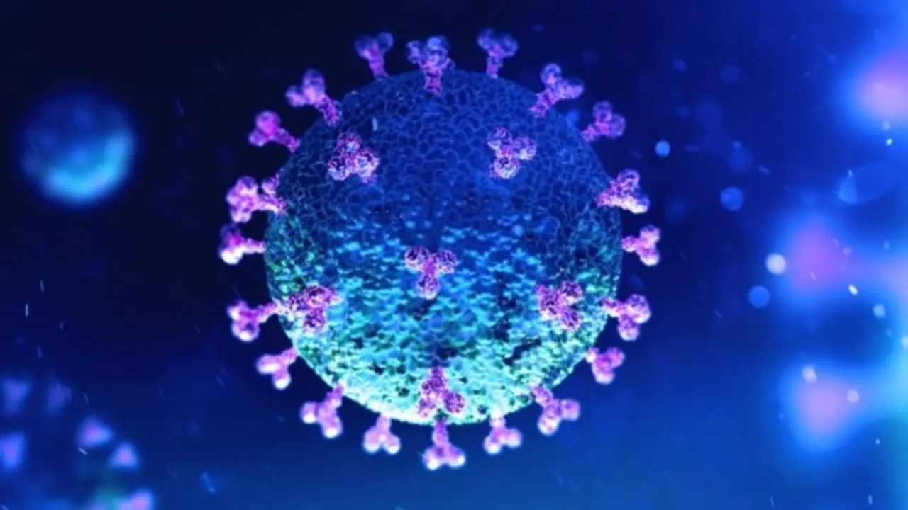 Coronavirus. / RR SS.