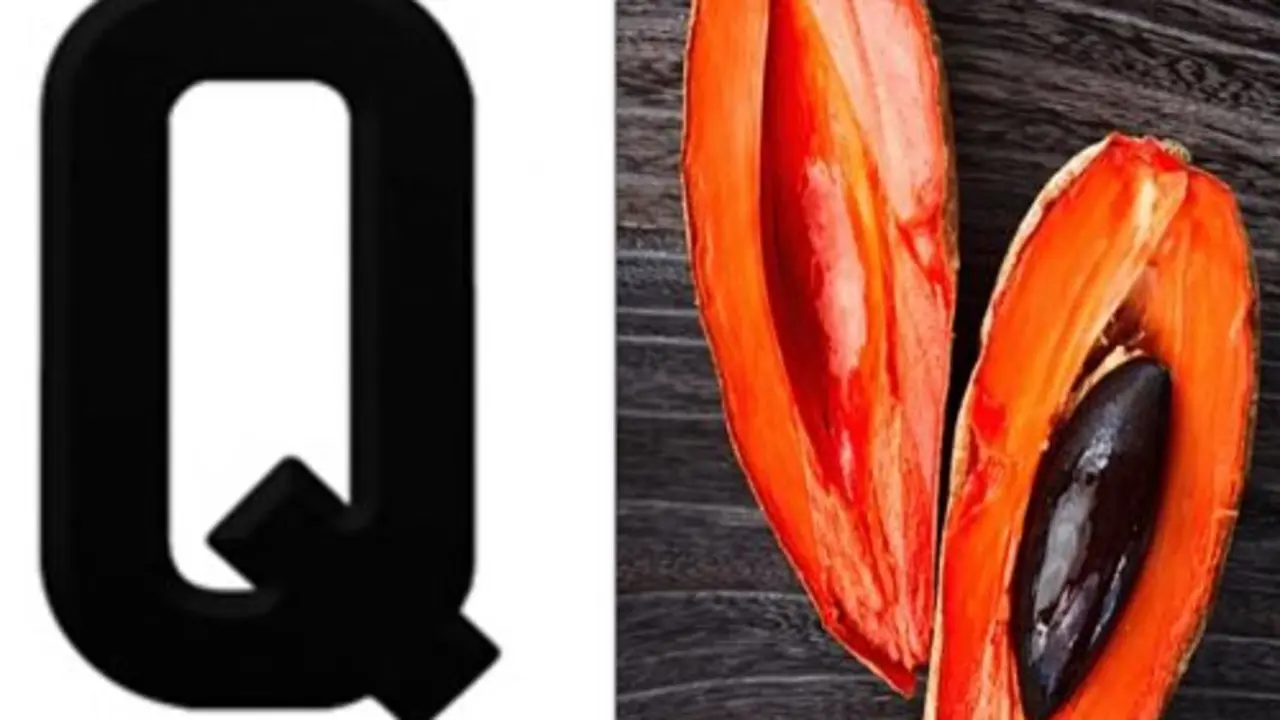 QMamey logo