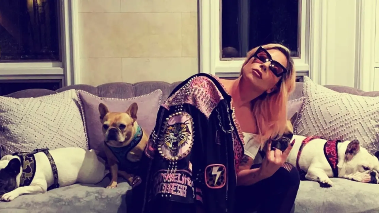Lady Gaga, cantante, junto a sus perros Koji, Gustav y Asia. YouTube.
