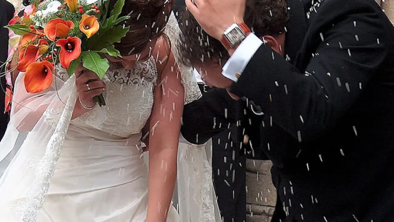 Arroz para los novios  / Francisco Pu&ntilde;al Su&aacute;rez