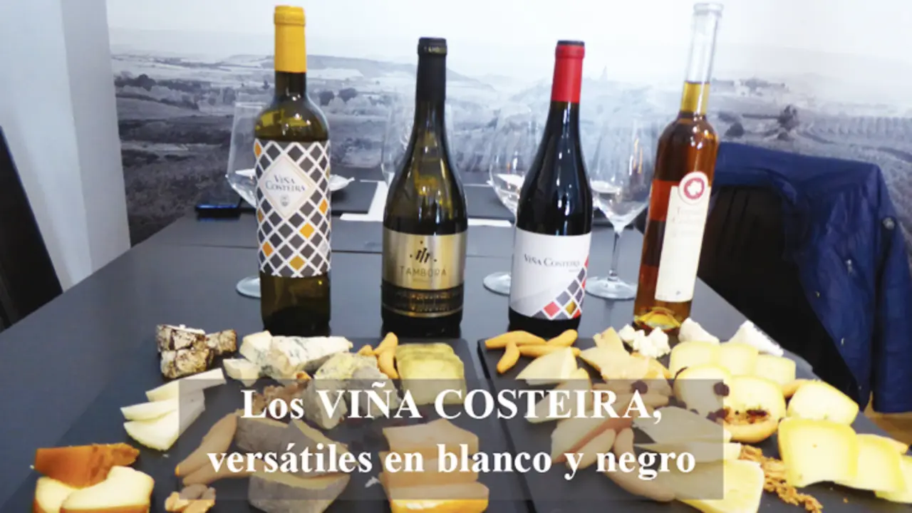 Vi&ntilde;a costerira-quesos