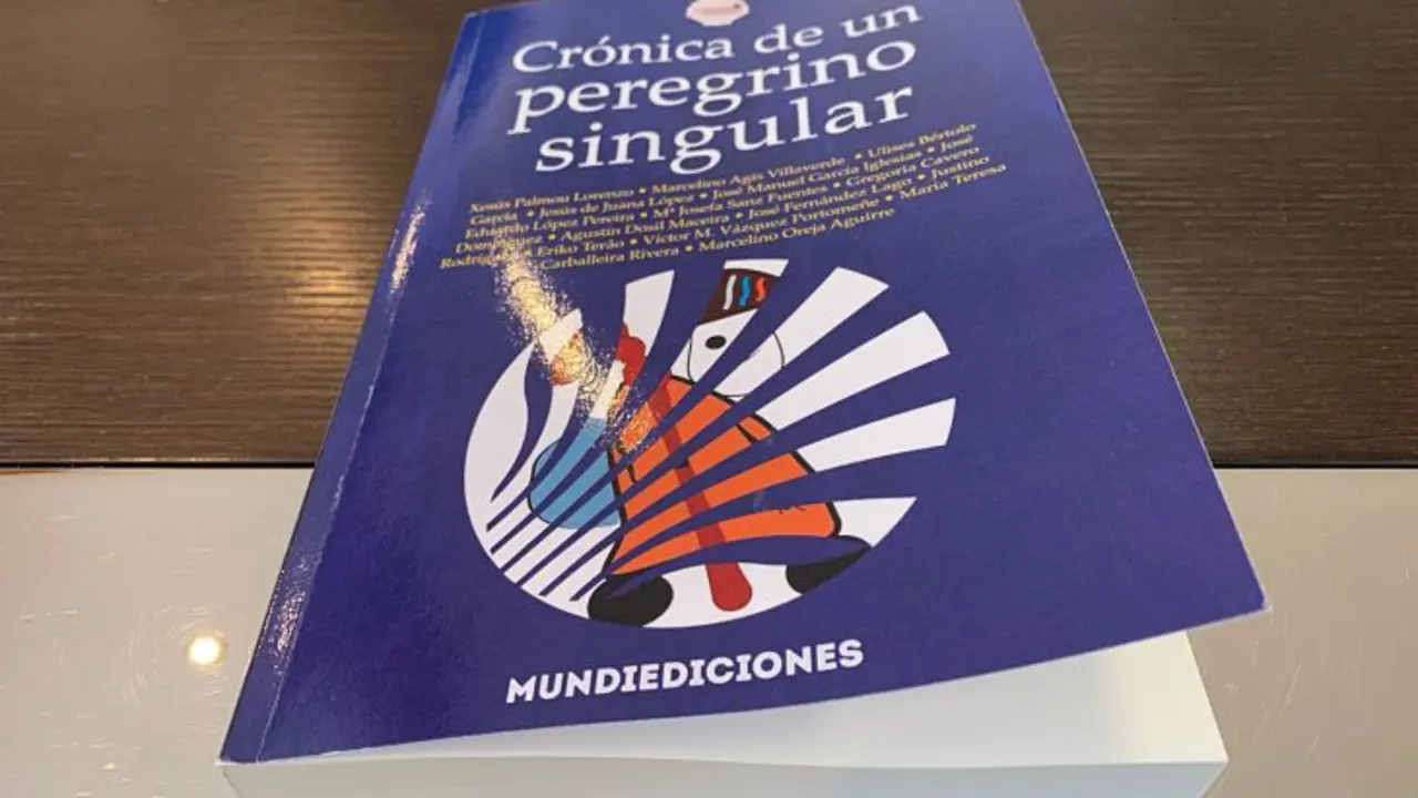 El libro Crónica de un peregrino singular. / Mundiediciones