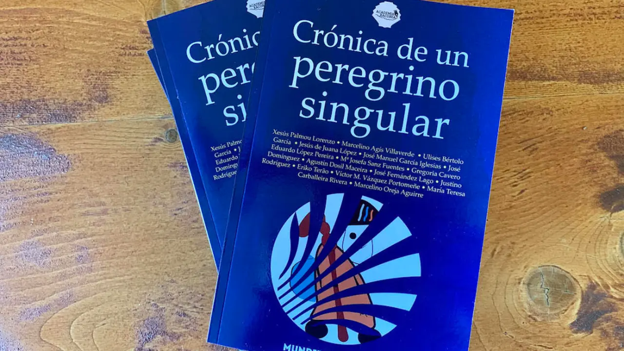 Ejemplares del libro Crónica de un peregrino singular. / Mundiediciones