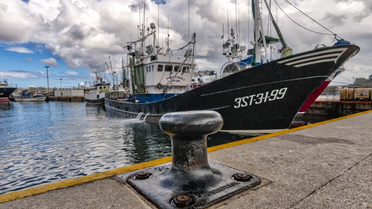 Puerto pesquero de Ondarroa. /  Turismo de Observación