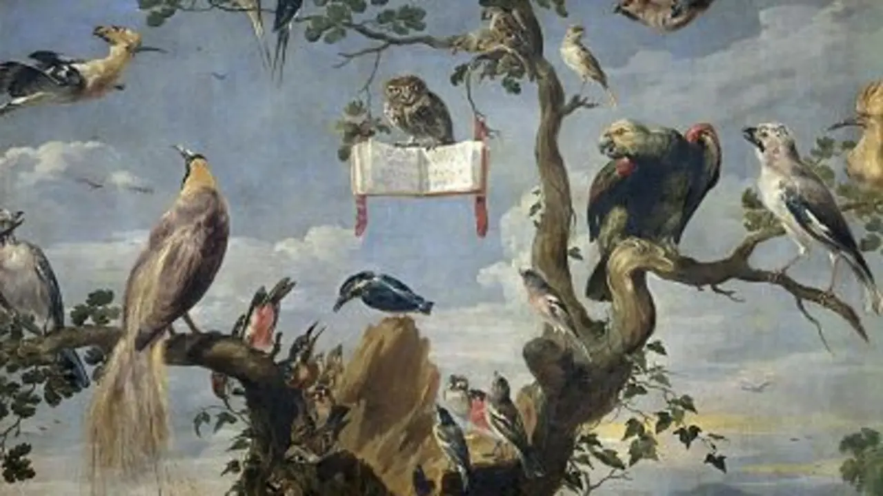 Messiaen y los p&aacute;jaros ex&oacute;ticos. / loff.it