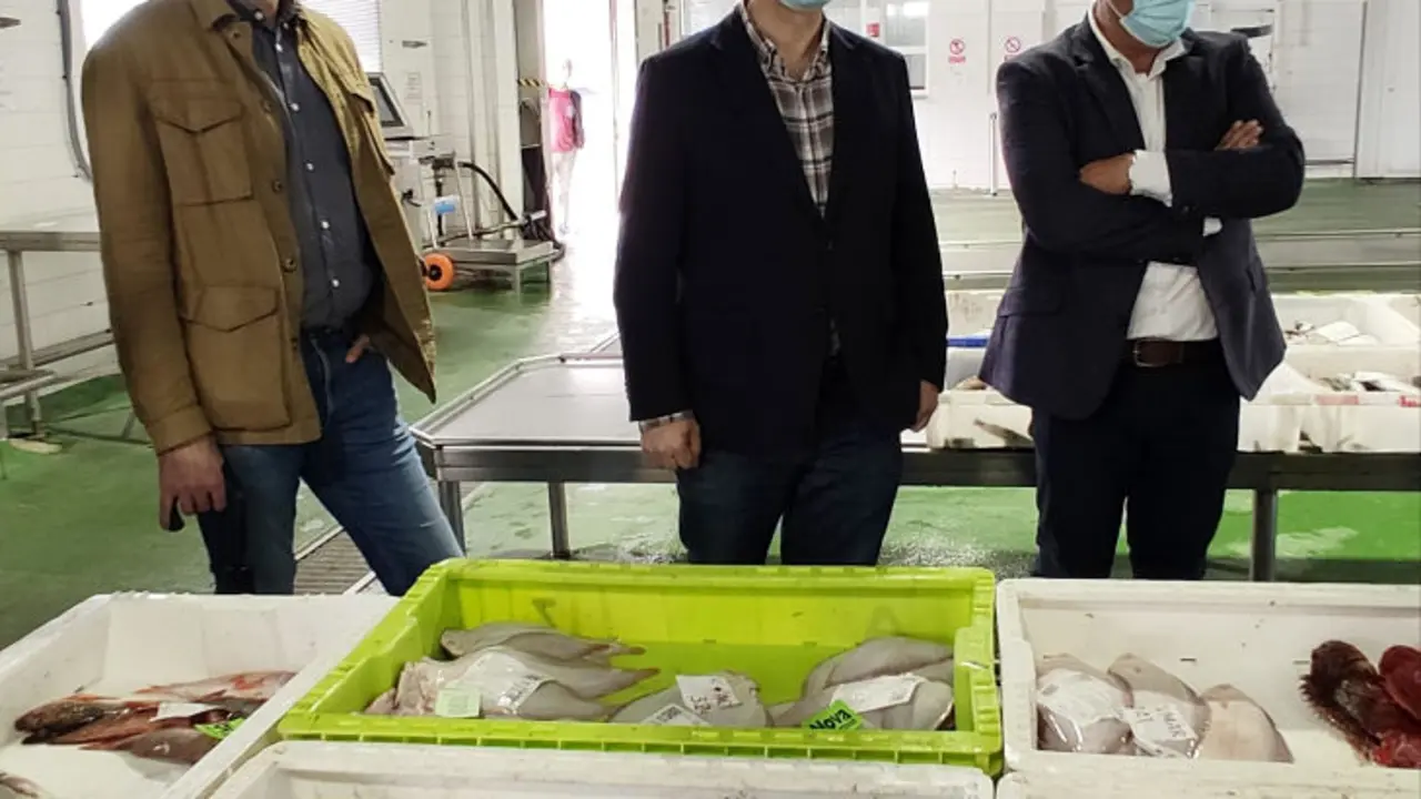 Gonzalo Caballero en su visita al puerto de Malpica. / PSdeG-PSOE