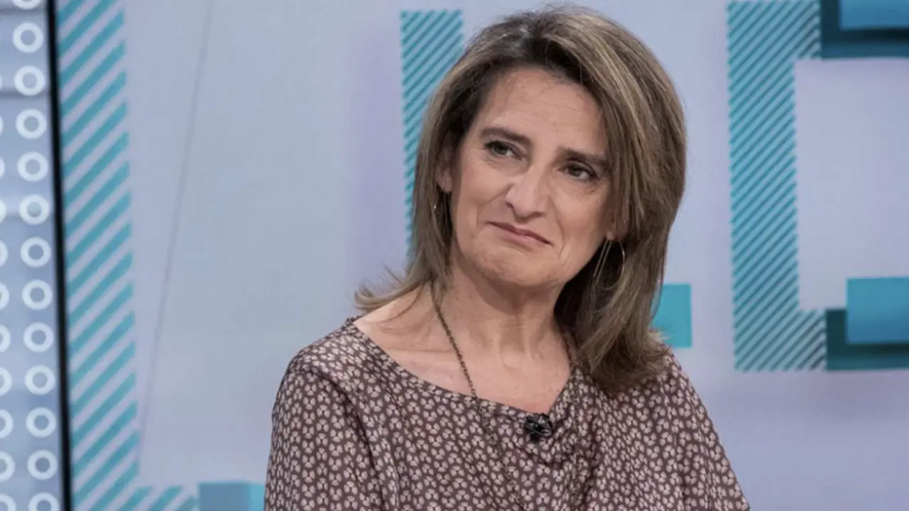 Teresa Ribera, vicepresidenta tercera y ministra de Transici&oacute;n Ecol&oacute;gica y Reto Demogr&aacute;fico.​ / TVE