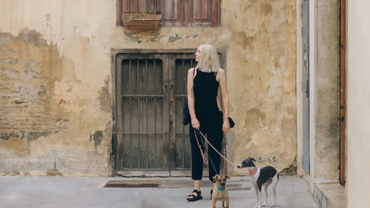 Perros pequeños con su dueña. / Nataliya Vaitkevich en Pexels.