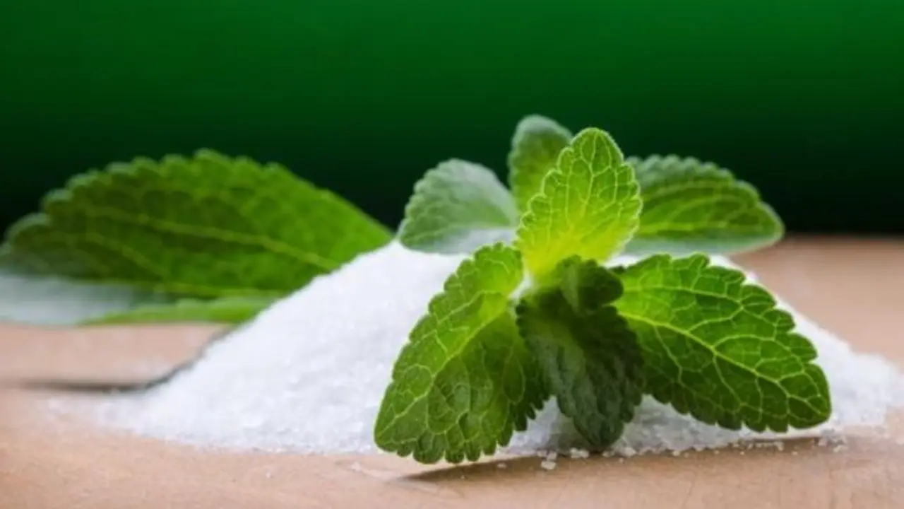 Stevia, edulcorante sin az&uacute;car. / ABC.