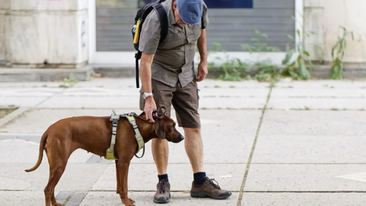 Un hombre paseando a un perro. / Mundiario