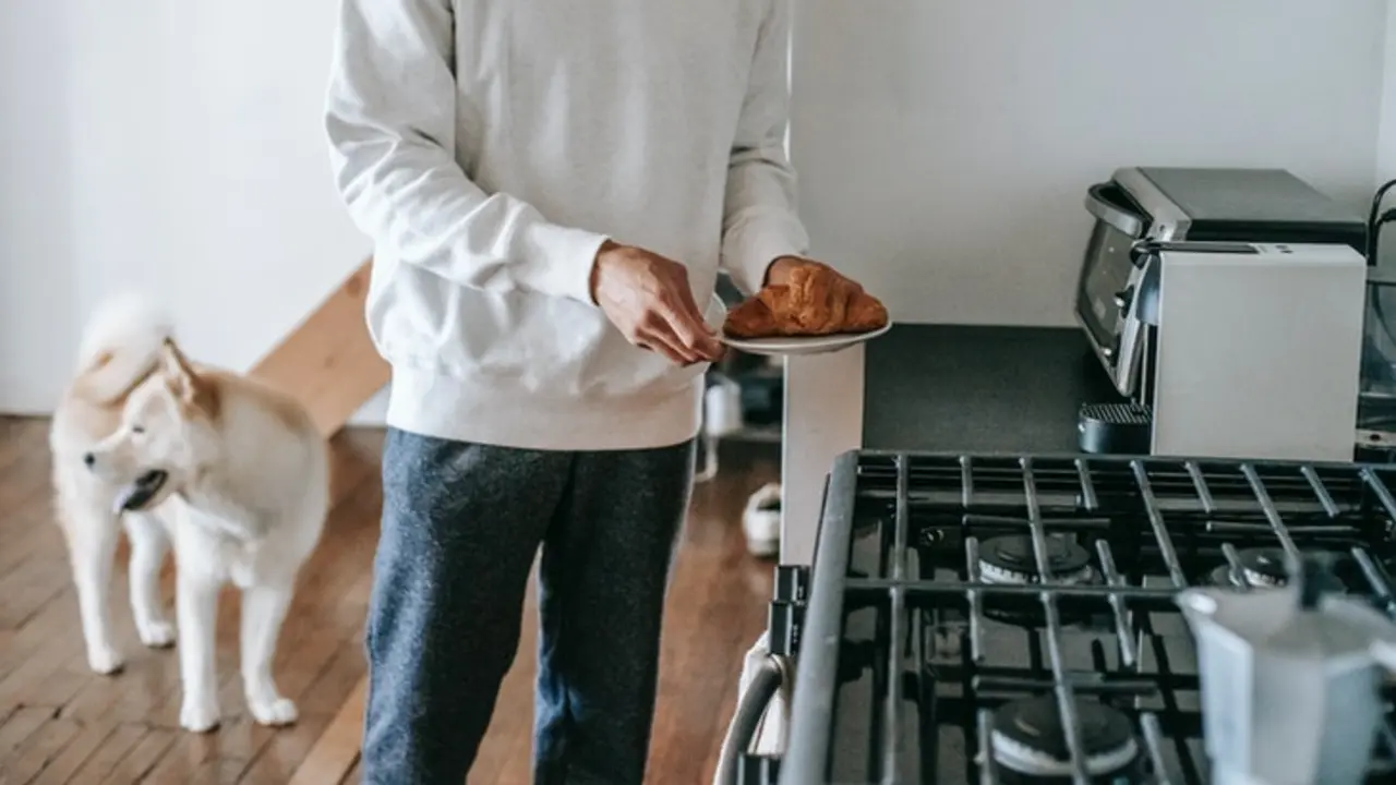 Un perro con su due&ntilde;o en casa. / Pexels.com.
