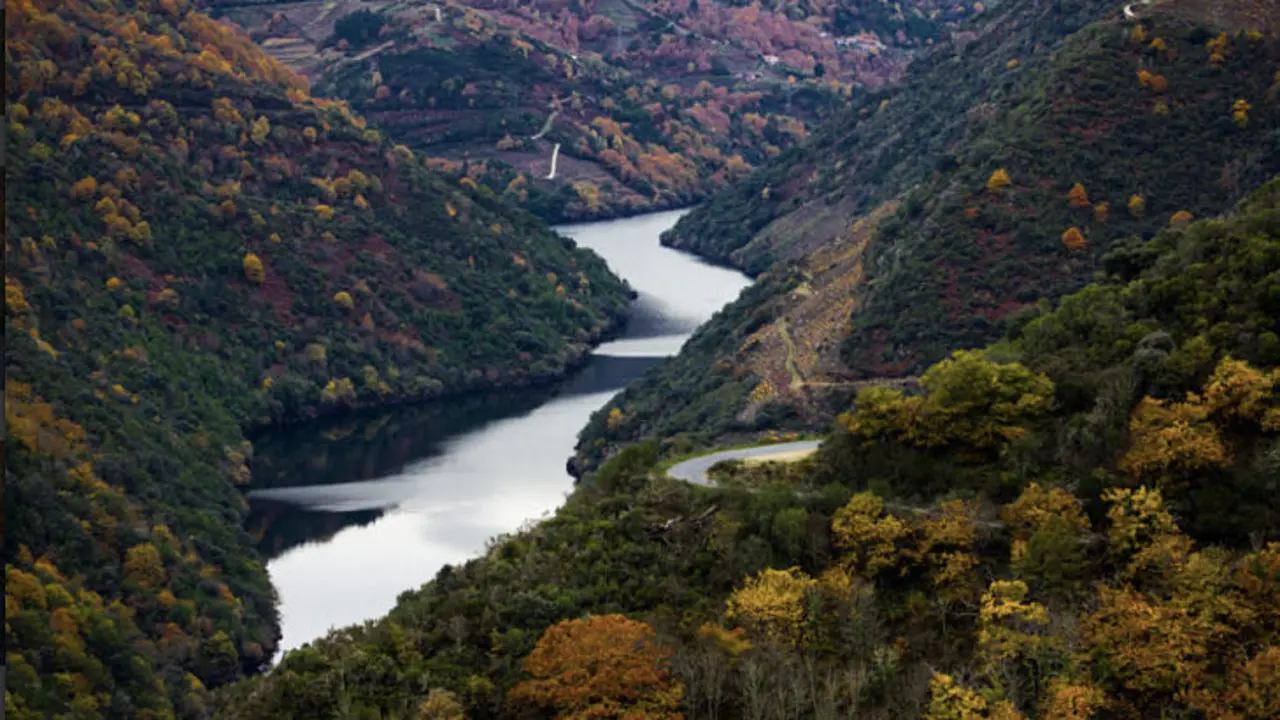 Ribeira Sacra