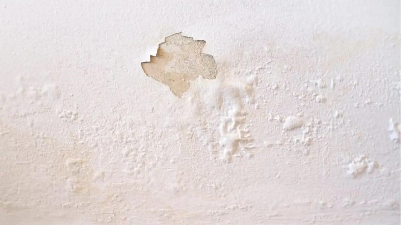 Pintura de la pared con burbujas. / Flickr.
