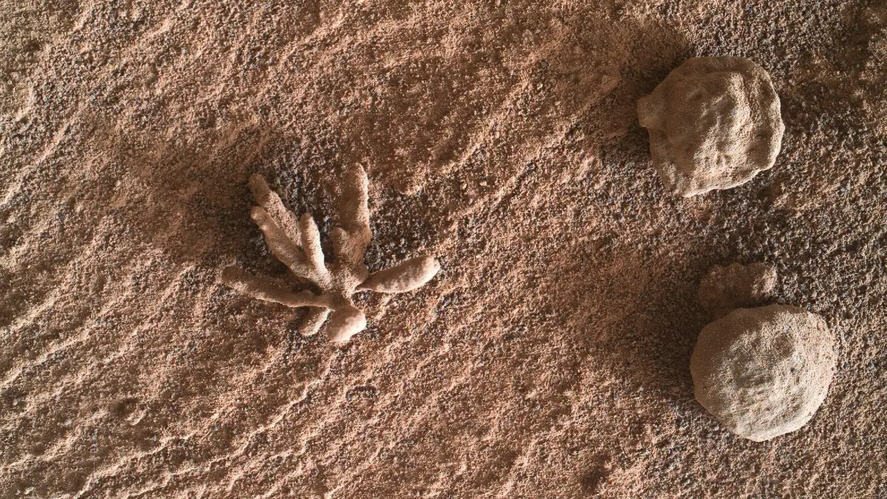 La 'flor marciana' captada por el r&oacute;ver Curiosity. / RR.SS.