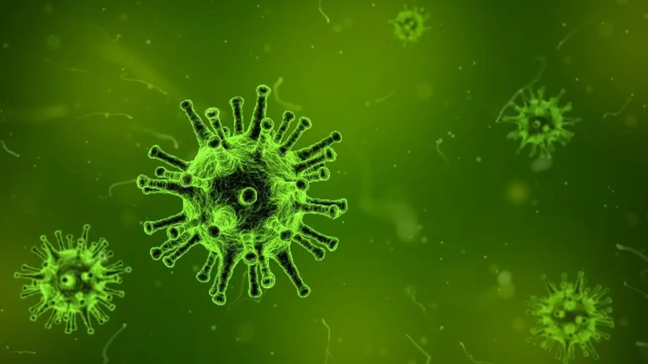 Virus de la covid-19. / Pixabay