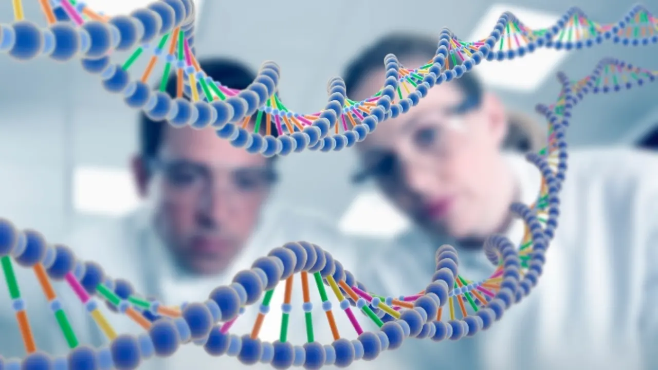 Genoma humano. / Science