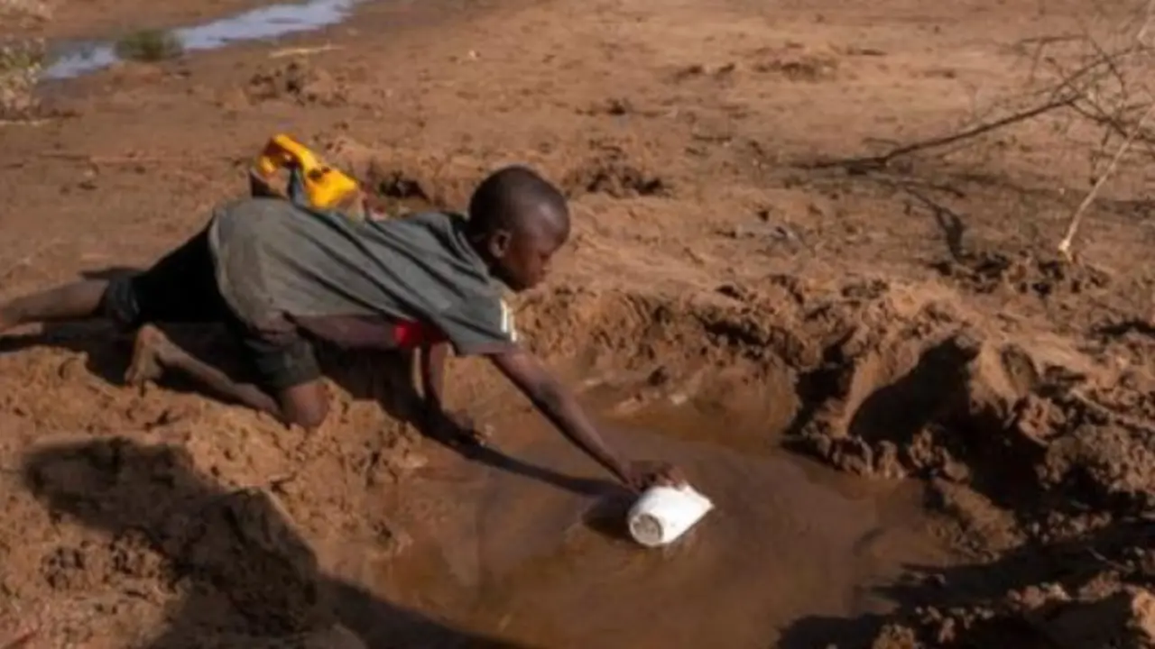 Ni&ntilde;o recolectando agua de un charco debido a la sequ&iacute;a / Organizaci&oacute;n de las Naciones Unidas