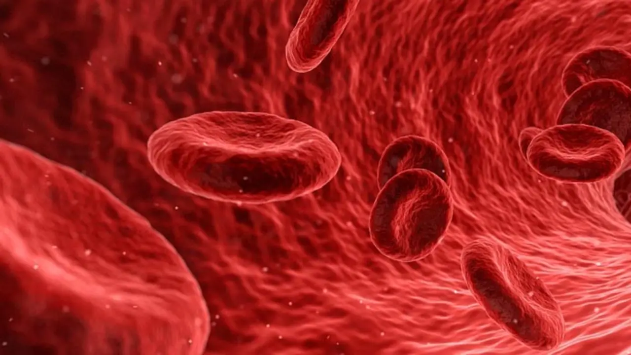 C&eacute;lulas en la sangre. / Pixabay