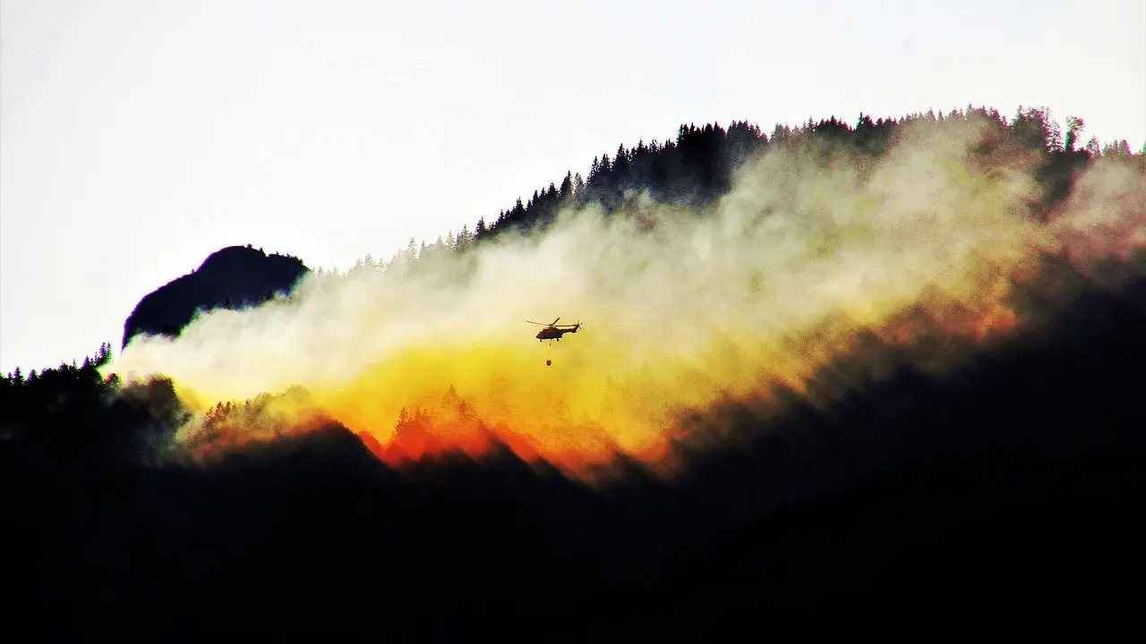 Fuego en un bosque. / Reinhard Thrainer en Pixabay