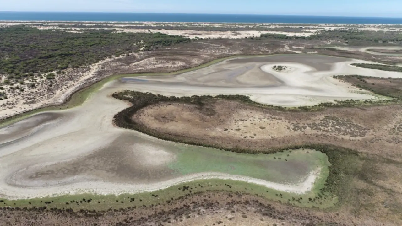 Laguna de Santa Olalla, en Do&ntilde;ana. / Estaci&oacute;n Biol&oacute;gica de Do&ntilde;ana - CSIC.