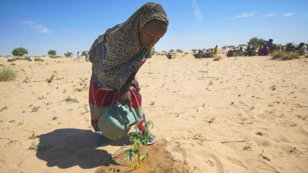 Una ni&ntilde;a riega semillas en Merea, en el lago Chad, actividad que se ha convertido en su quehacer cotidiano. / PNUD