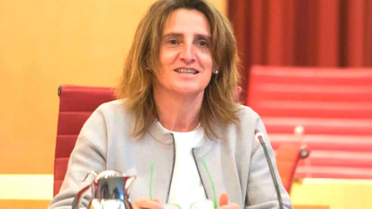Teresa Ribera, vicepresidenta tercera y ministra de Transici&oacute;n Ecol&oacute;gica y Reto Demogr&aacute;fico.​ / RR SS