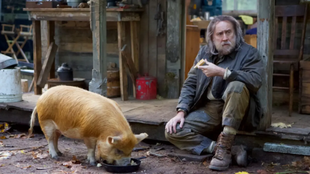 Nicolas Cage interpreta a un rural ser que busca desesperadamente a su compa&ntilde;era de vida / Movistar+