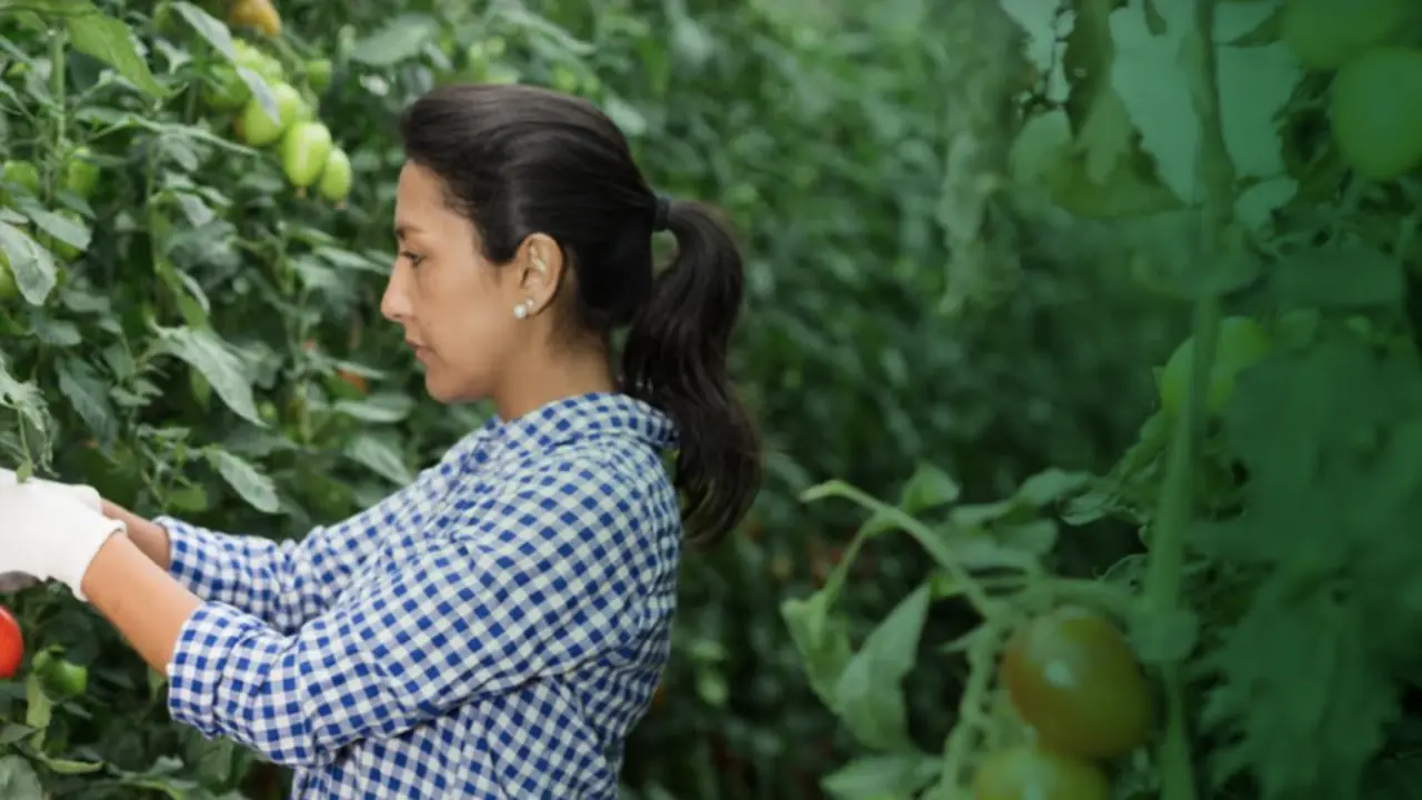 Mujeres emprendedoras./ RR SS