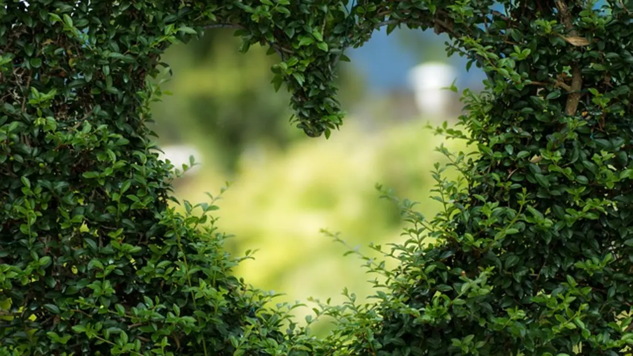 Jard&iacute;n visto a trav&eacute;s de una rendija en forma de coraz&oacute;n./ Bianca en Pixabay.