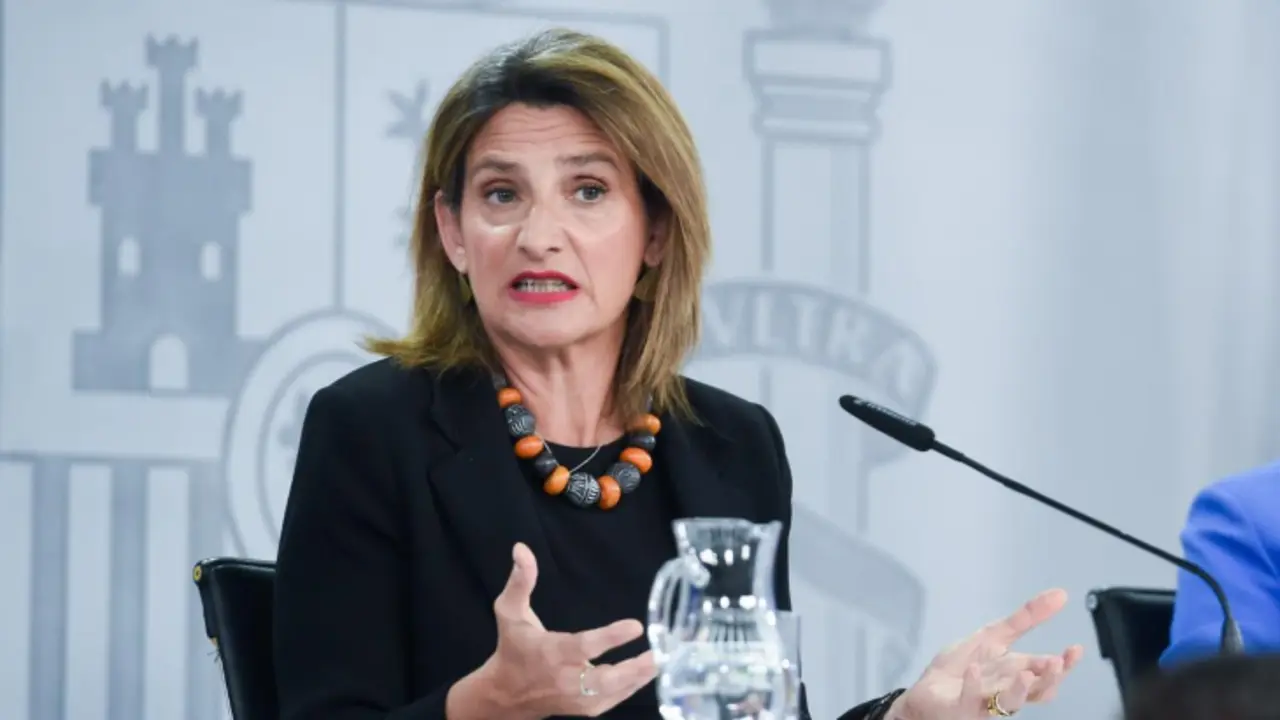 Teresa Ribera, vicepresidenta tercera y ministra de Transici&oacute;n Ecol&oacute;gica y Reto Demogr&aacute;fico.​ / RR SS