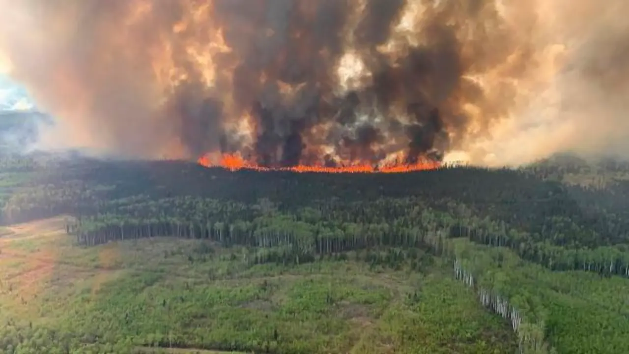 Incendios forestales. / RR SS.