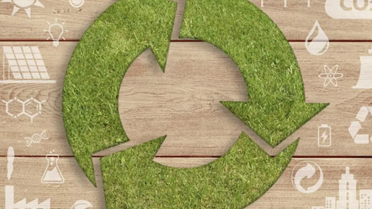 Econom&iacute;a circular./ RR SS