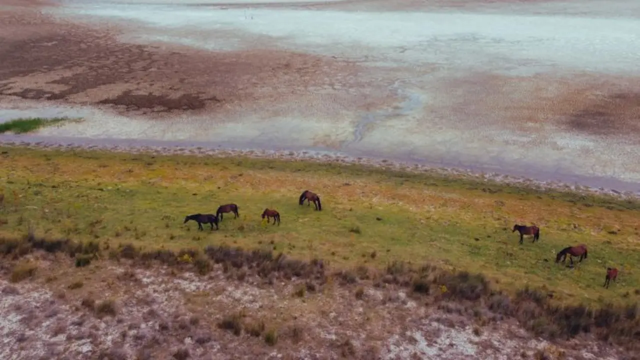 Santa Olalla, la laguna m&aacute;s grande de Do&ntilde;ana. / @CSIC.