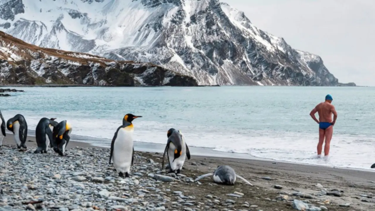Un hombre se prepara para nadar mientras unos ping&uuml;inos retozan en una playa de la Ant&aacute;rtida. / PNUMA.