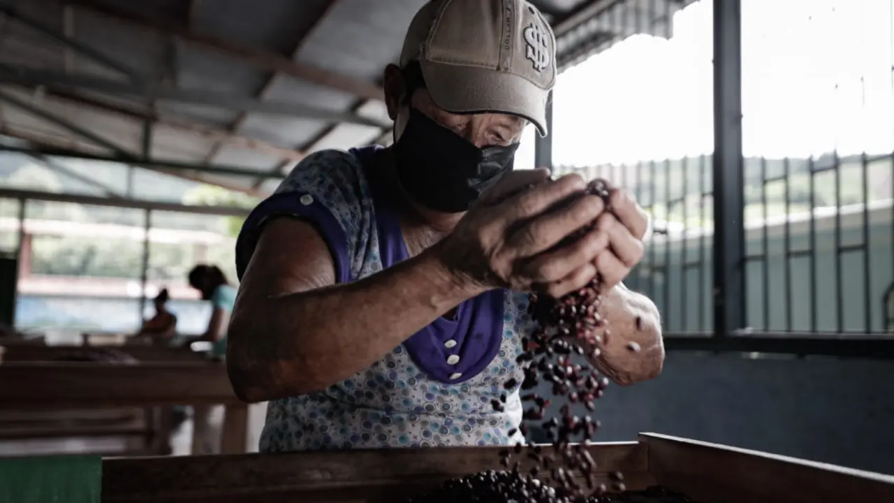 Consejo Nacional de Producci&oacute;n./ RR SS