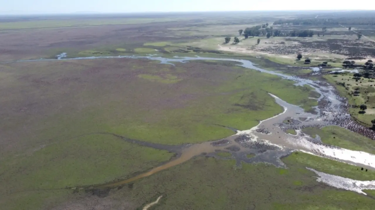 Las lluvias de las &uacute;ltimas semanas dejan una inundaci&oacute;n de s&oacute;lo el 1,8 % de la marisma de Do&ntilde;ana. / CSIC.