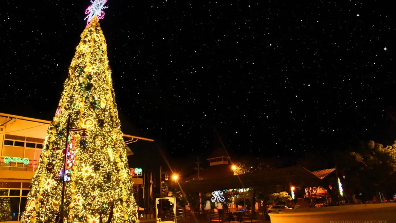 &Aacute;rbol navide&ntilde;o./ RR SS