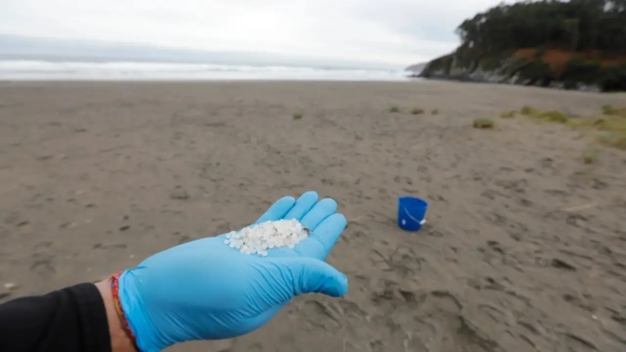Recogida de pellets en una playa de Galicia. / RR SS.