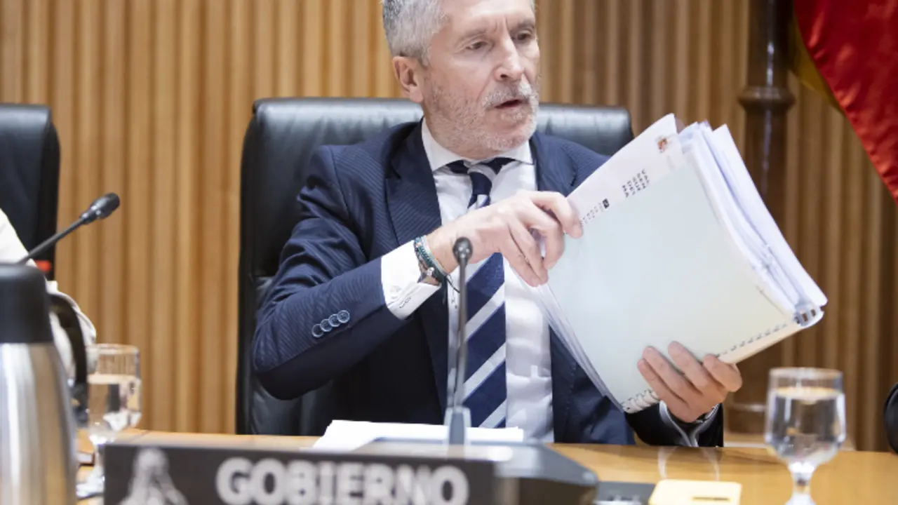 Fernando Grande-Marlaska, ministro de Interior. / Congreso de los Diputados
