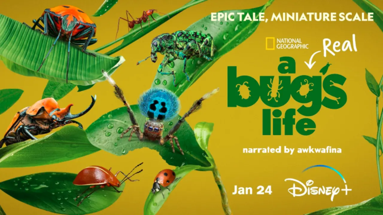 Bichos: la verdadura aventura finalmente llega a Espa&ntilde;a. / Disney Plus